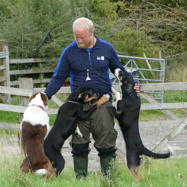 farmer in warm wellies with his dogs